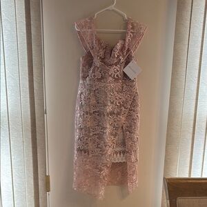 Elliatt Blush Lace Dress